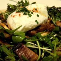 Miso-Cured Pork Belly & Baby Arugula - served with sausalito spring watercress, poached jidori egg, shaved champignon mushroom, and meyer lemon soy dressing -