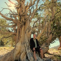 Pedro under a bristlecone pine tree that is probably over 1000 years old.