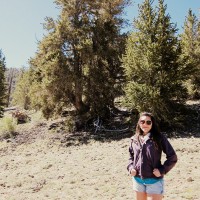 Maria at the Visitor Center of the bristlecone pine forest