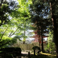 sf-japan-tea-garden-pagoda