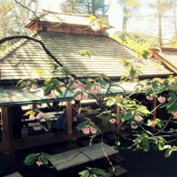 sf-japan-tea-garden-teahouse